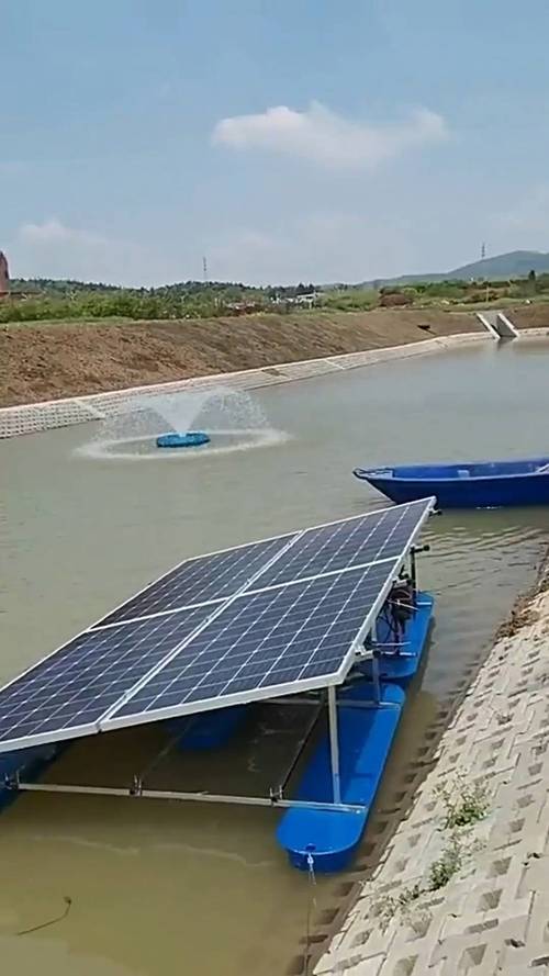 綠色動力，活水清源 太陽能噴泉曝氣機(jī)主流型號推薦指南